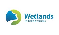 wetlands