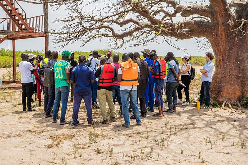 festival-mangal-protection-preservation-mangroves-programme-gestionnaires-aires-protegees-toubacouta8
